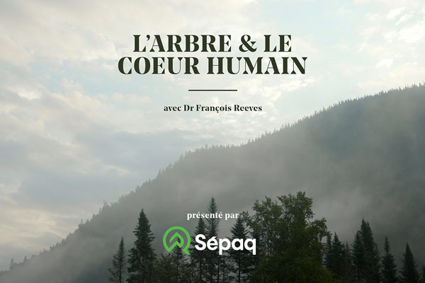 Des humains et des arbres