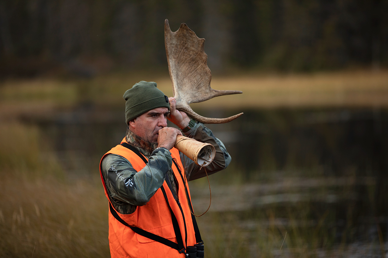 Chasse Québec les meilleurs conseils de l’équipe Sépaq