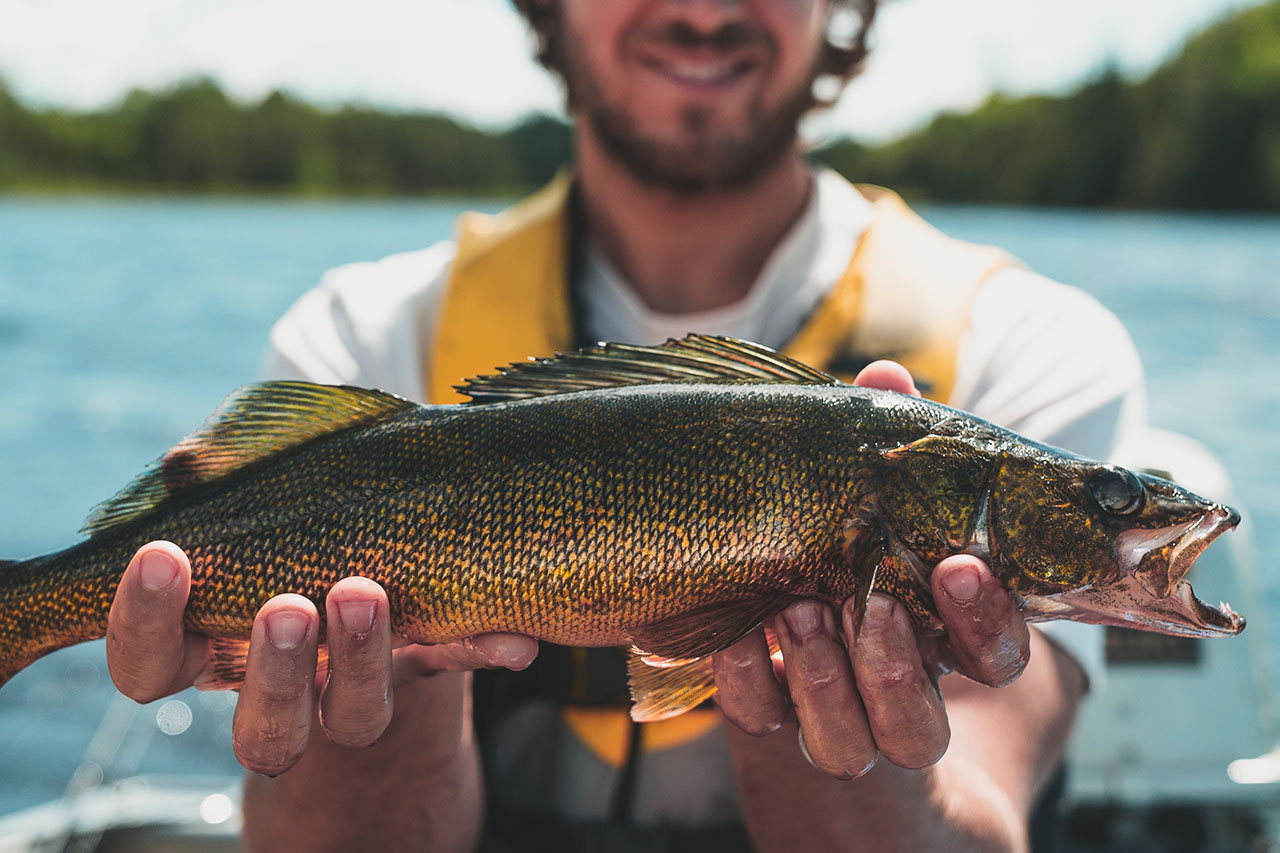 I Fish For Walleye Everything Else Is Bait Walleye Fishing Tote Bag