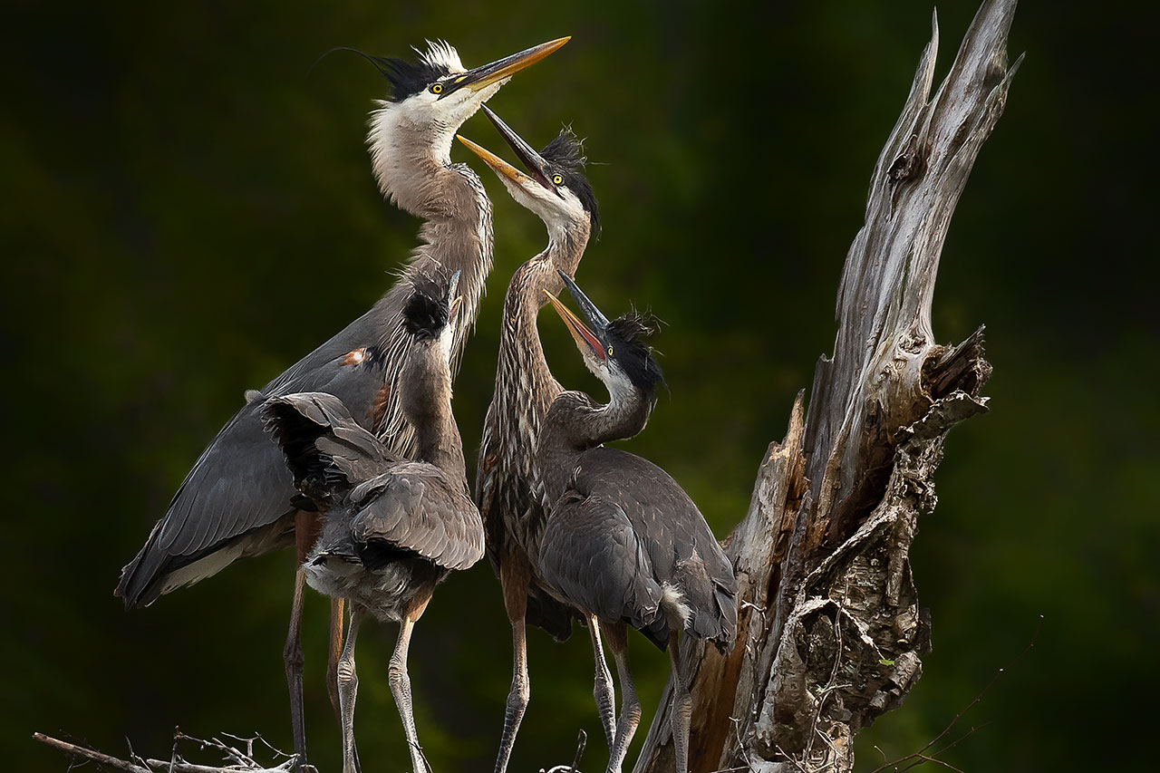 Family Moment.