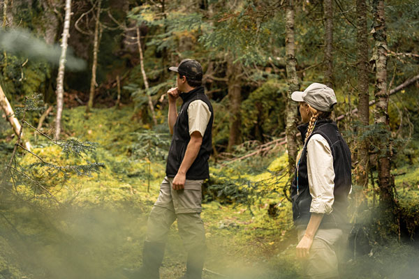 Réserve faunique des Laurentides