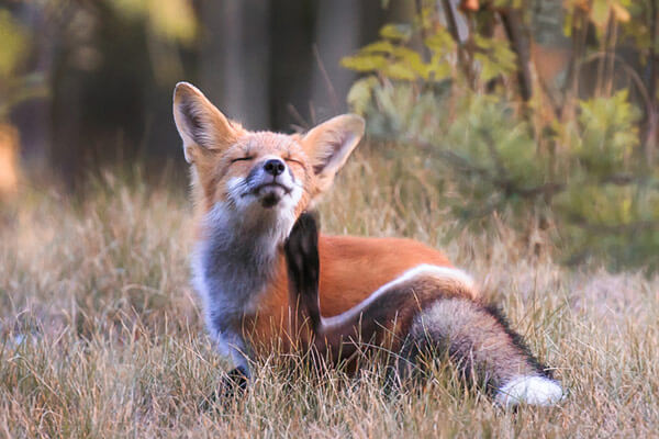 Parc national des Grands-Jardins