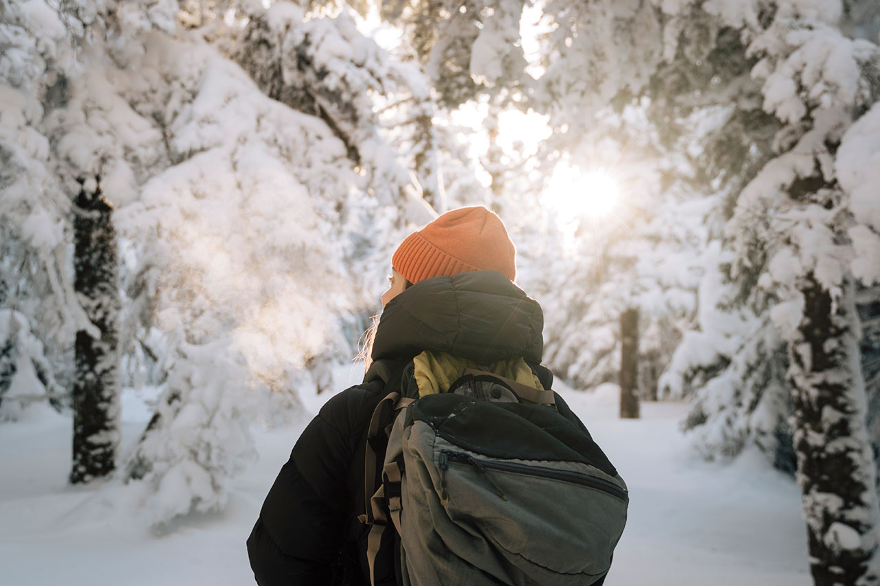 The Top Winter Hikes Near Montreal