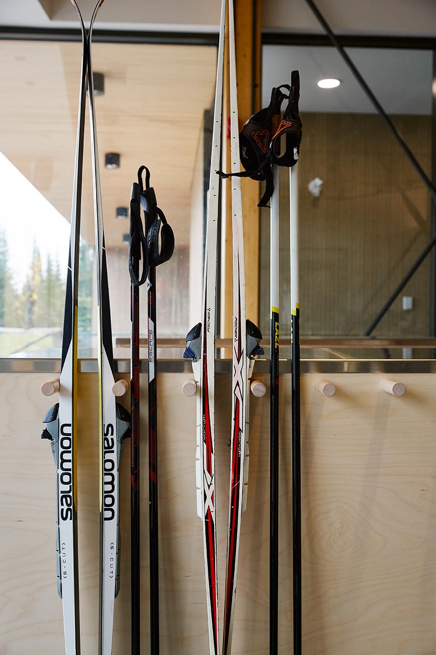 Skis and poles