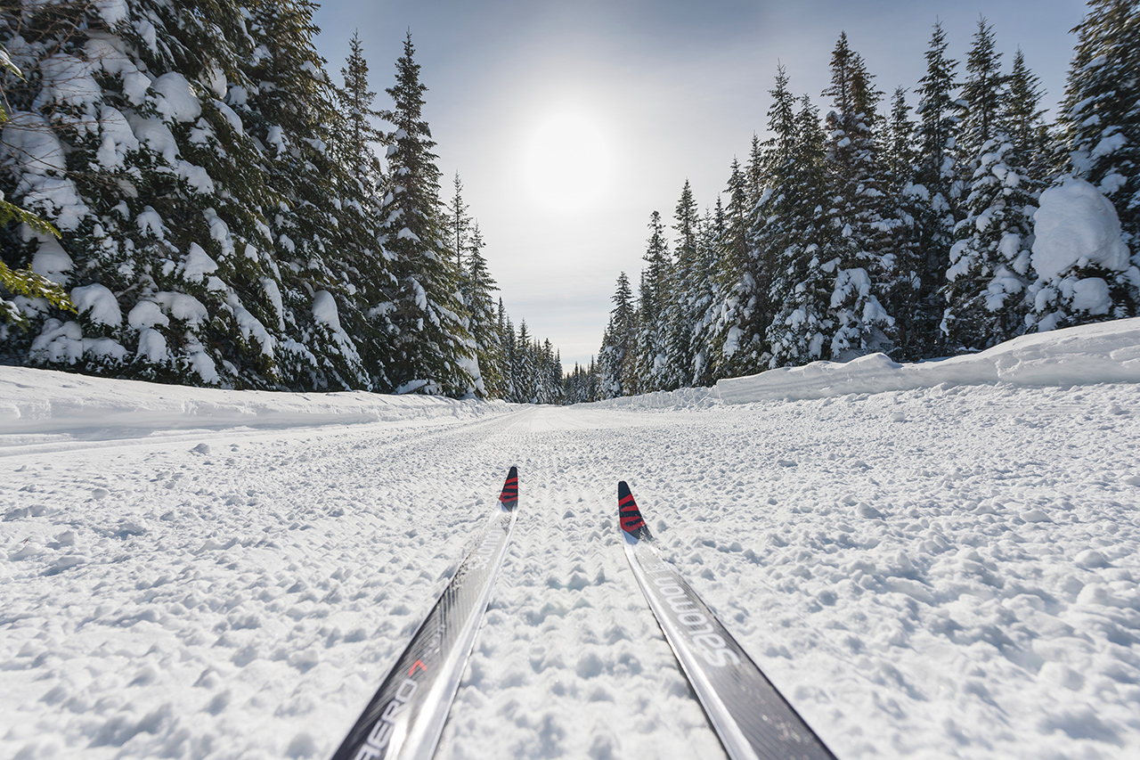 Skis dans la neige