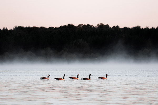 Parc national de la Yamaska