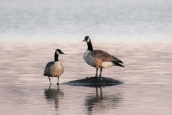 Parc national de la Yamaska