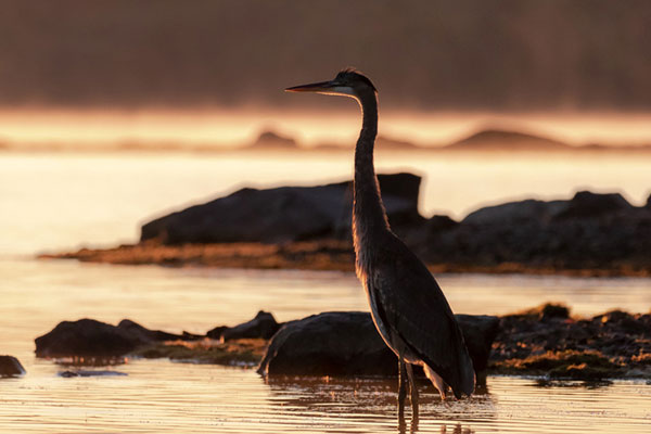 Parc national de la Yamaska