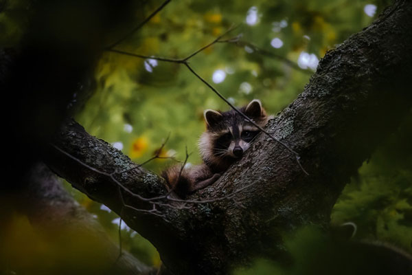 Parc national de la Yamaska