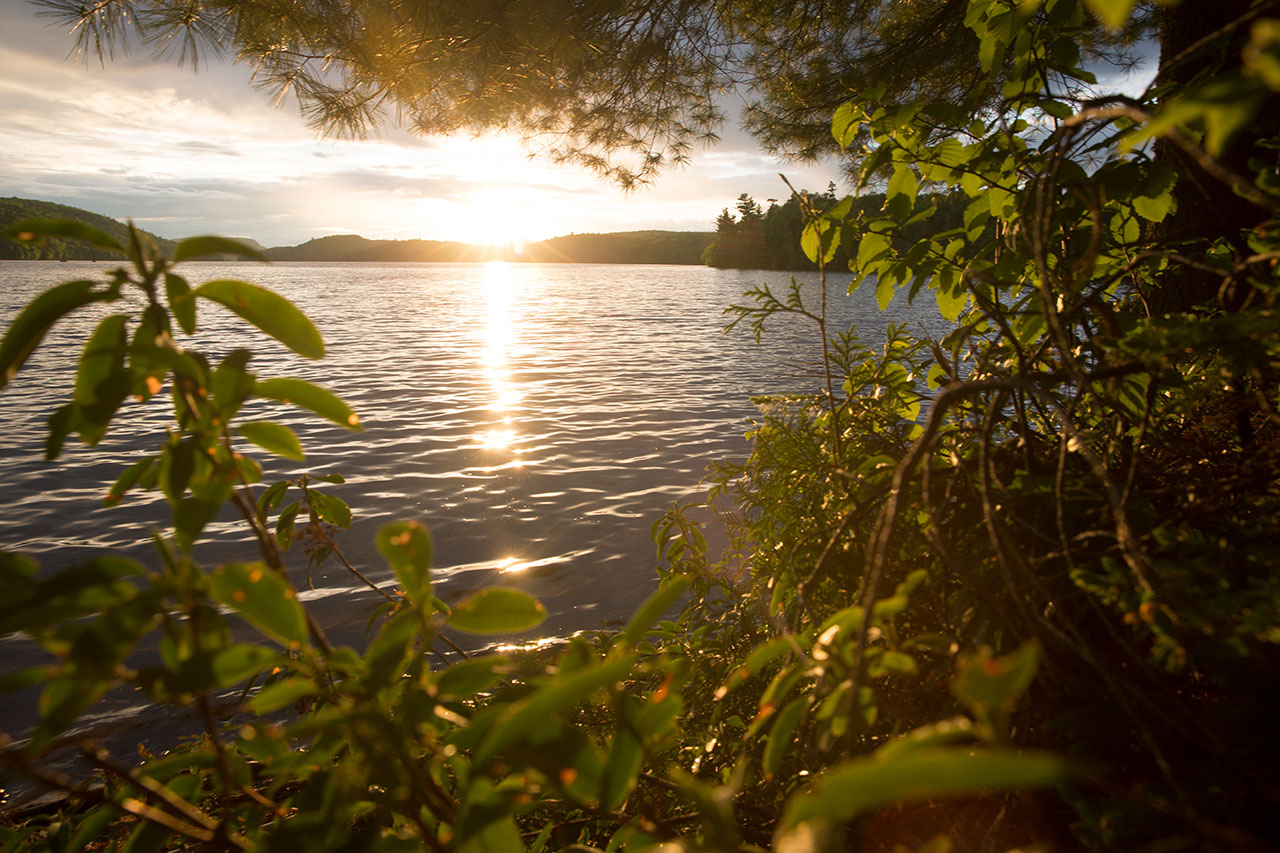 Réserve faunique Mastigouche