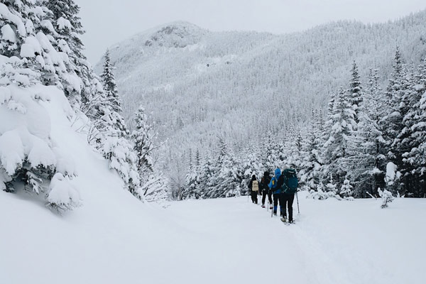 Parc national de la Gaspésie