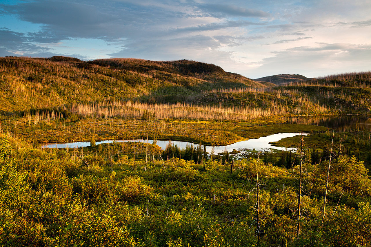 Parc national des Grands-Jardins