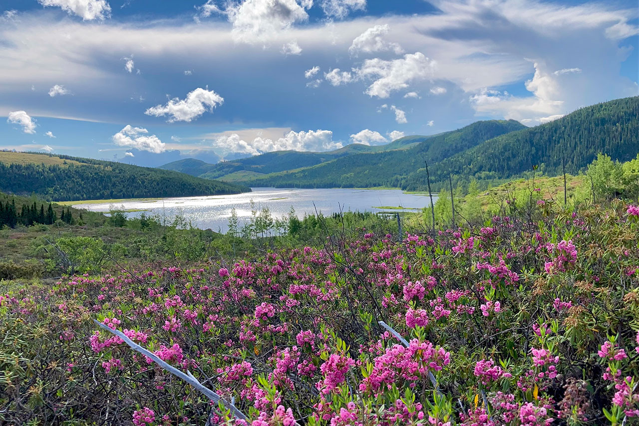 Les coups de cœur de l'équipe - Parc national des Grands-Jardins - Sépaq