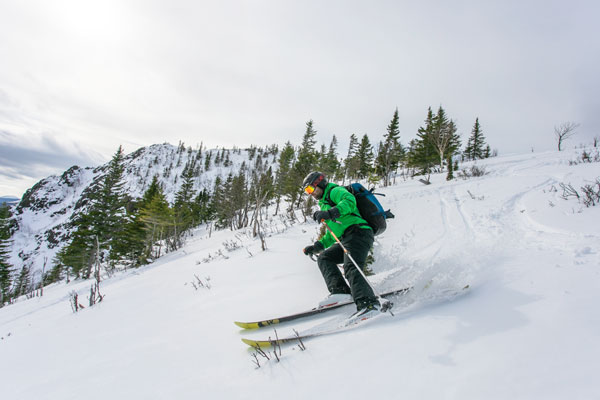 Parc national de la Gaspésie